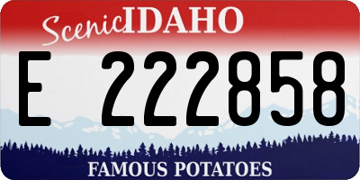 ID license plate E222858
