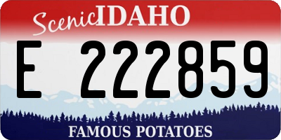 ID license plate E222859