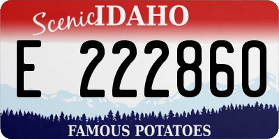 ID license plate E222860