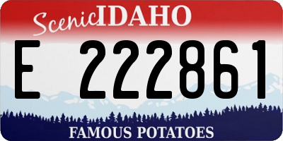 ID license plate E222861