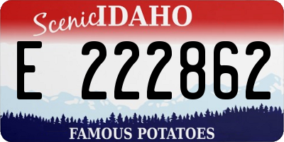 ID license plate E222862
