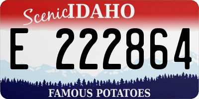 ID license plate E222864
