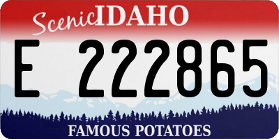 ID license plate E222865