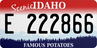 ID license plate E222866