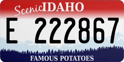ID license plate E222867