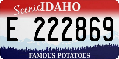 ID license plate E222869