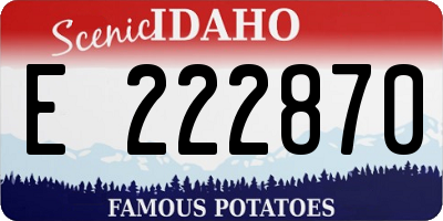 ID license plate E222870