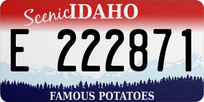 ID license plate E222871