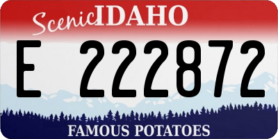 ID license plate E222872