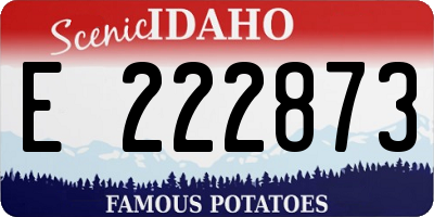 ID license plate E222873