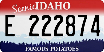 ID license plate E222874