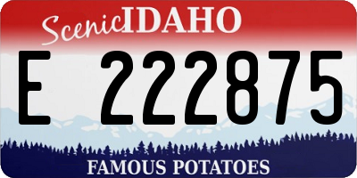 ID license plate E222875