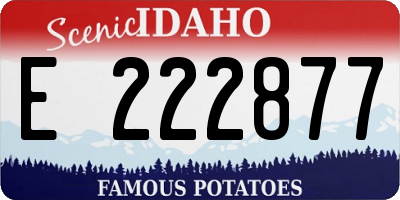 ID license plate E222877