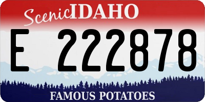 ID license plate E222878