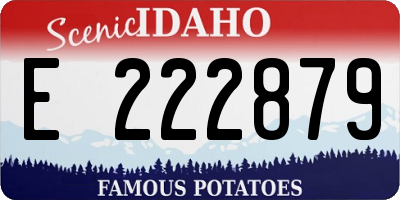 ID license plate E222879