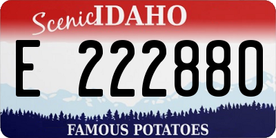 ID license plate E222880