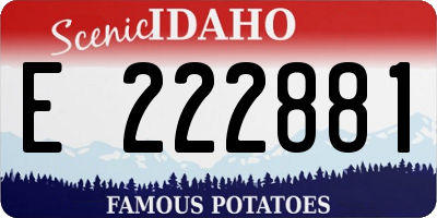 ID license plate E222881