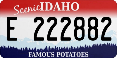 ID license plate E222882