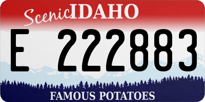 ID license plate E222883