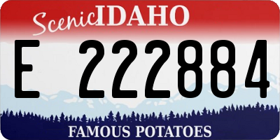 ID license plate E222884