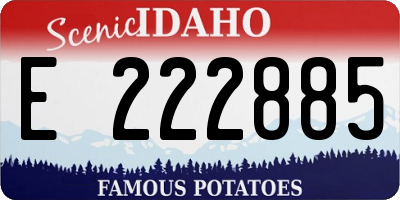 ID license plate E222885