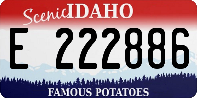 ID license plate E222886