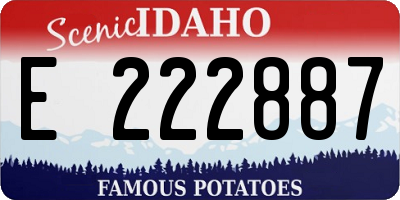 ID license plate E222887