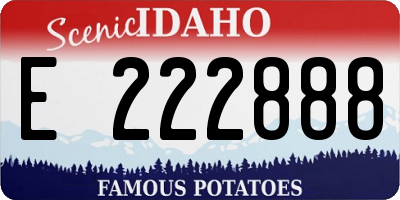 ID license plate E222888