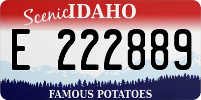 ID license plate E222889