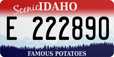 ID license plate E222890