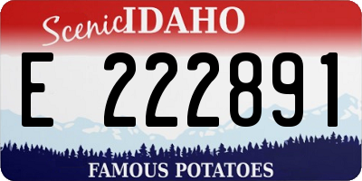 ID license plate E222891
