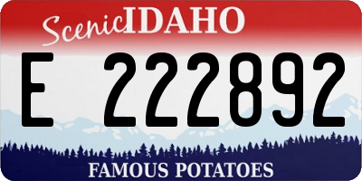 ID license plate E222892