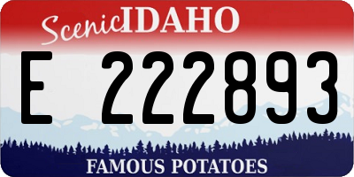 ID license plate E222893