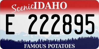 ID license plate E222895