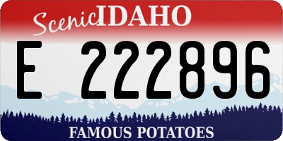 ID license plate E222896