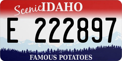 ID license plate E222897