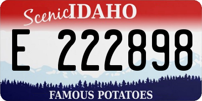 ID license plate E222898