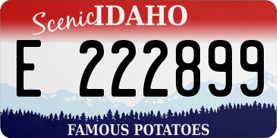 ID license plate E222899