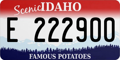 ID license plate E222900