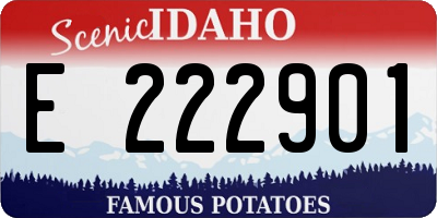 ID license plate E222901