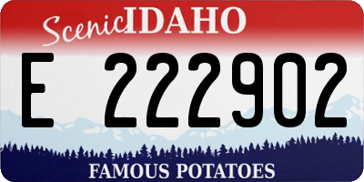 ID license plate E222902