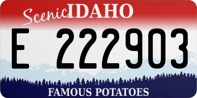 ID license plate E222903