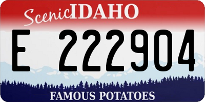 ID license plate E222904