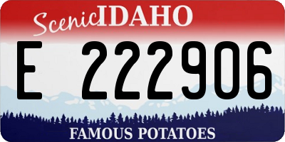 ID license plate E222906