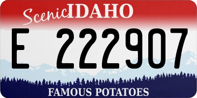 ID license plate E222907