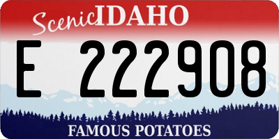 ID license plate E222908