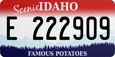 ID license plate E222909