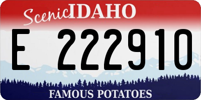 ID license plate E222910