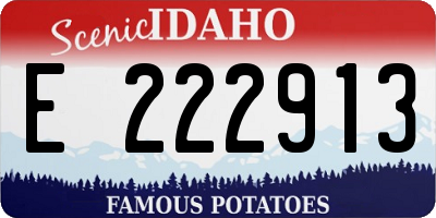 ID license plate E222913