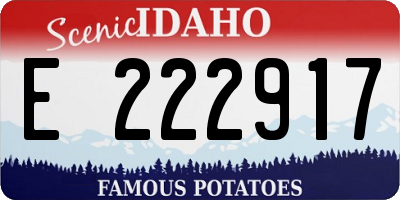 ID license plate E222917